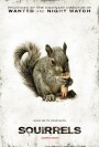 squirrels.jpg